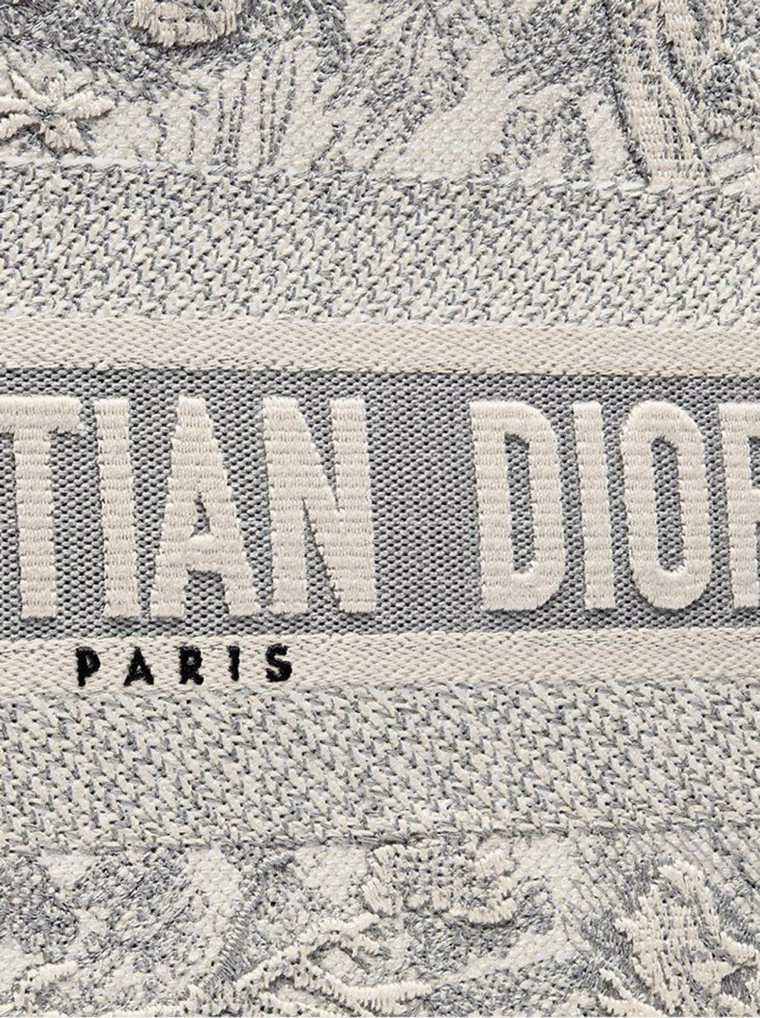 Dior Book Medium Gray