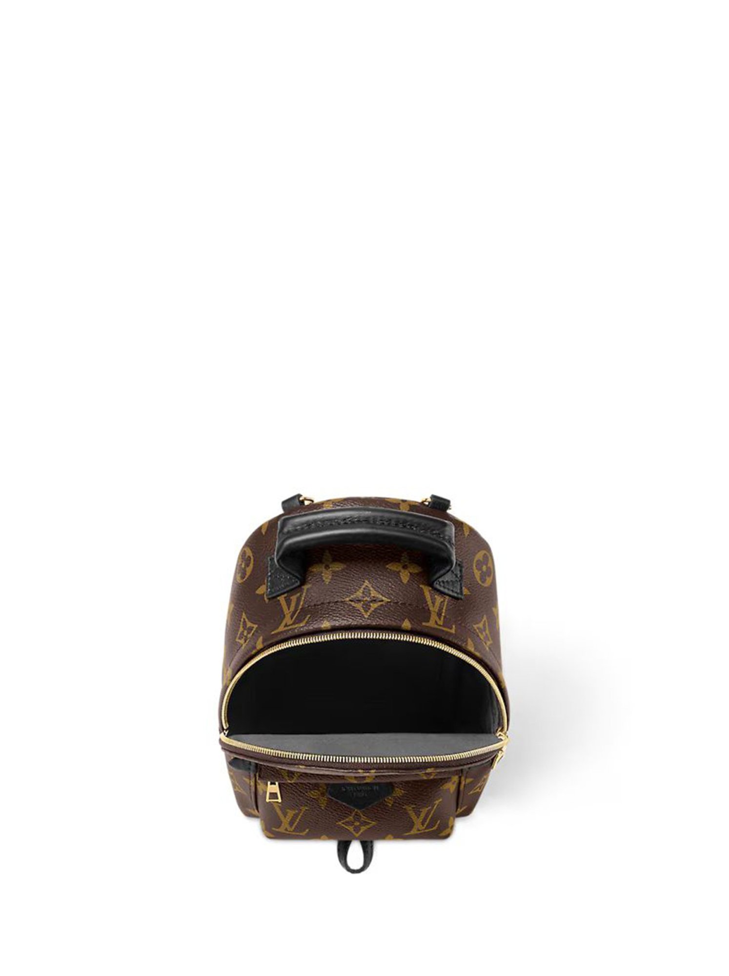 Louis Vuitton Palm Springs Small Brown