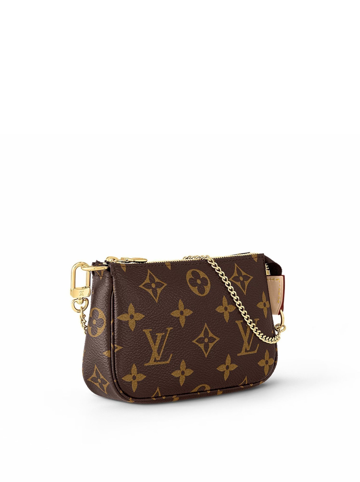 Louis Vuitton Pochette Accessoires Small Brown