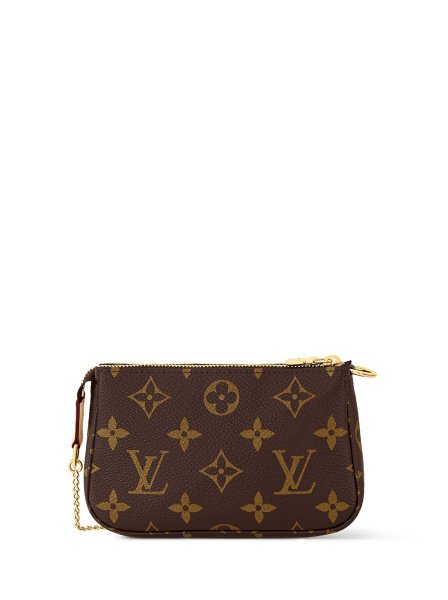 Louis Vuitton Pochette Accessoires Small Brown Louis Vuitton Pochette Accessoires Small Brown