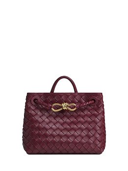 Bottega Veneta Andiamo Small Red