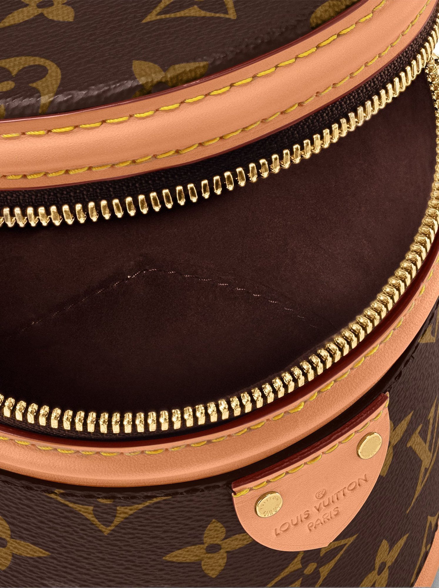 Louis Vuitton Cannes Small Brown