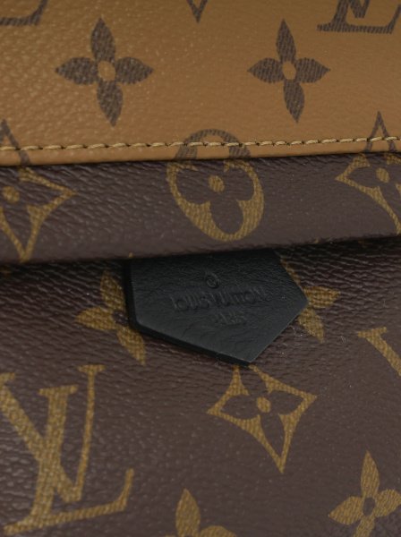 Louis Vuitton Palm Springs Small Brown