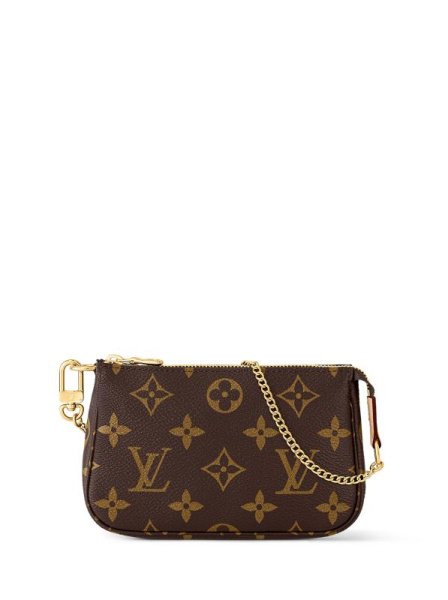 Louis Vuitton Pochette Accessoires Small Brown Louis Vuitton Pochette Accessoires Small Brown