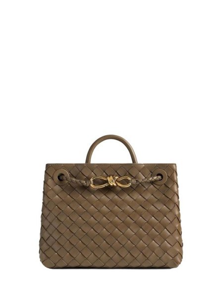 Bottega Veneta Andiamo Small Brown Bottega Veneta Andiamo Small Brown
