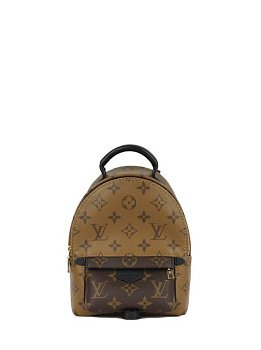 Louis Vuitton Palm Springs Small Brown
