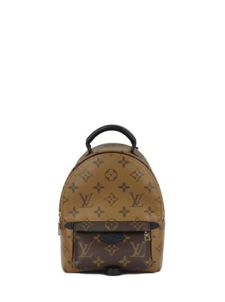 Louis Vuitton Palm Springs Small Brown