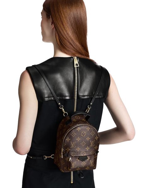 Louis Vuitton Palm Springs Small Brown