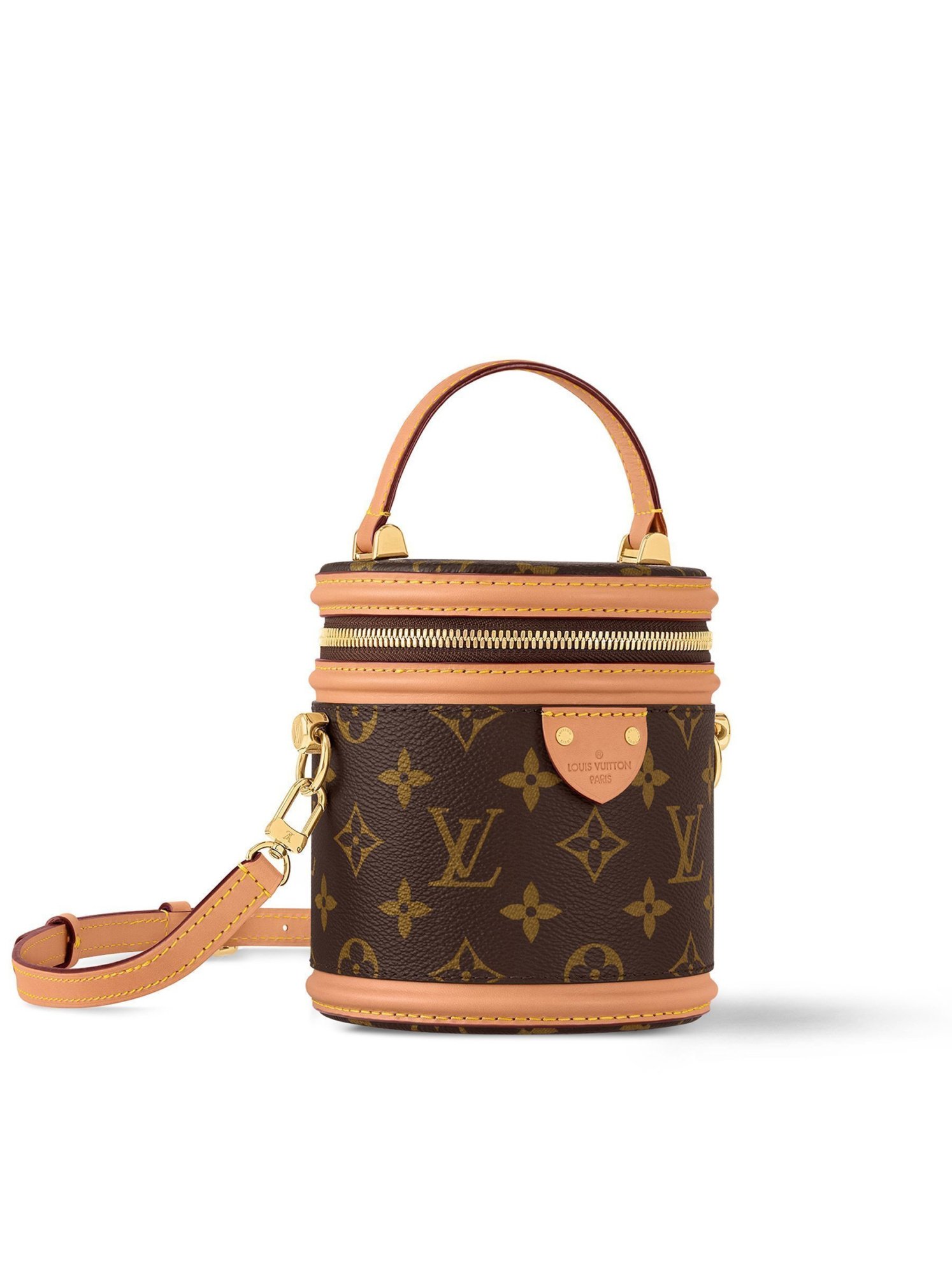 Louis Vuitton Cannes Small Brown