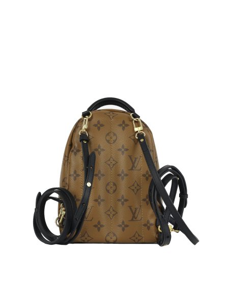 Louis Vuitton Palm Springs Small Brown