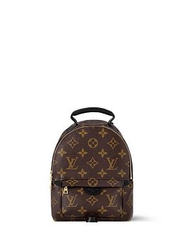 Louis Vuitton Palm Springs Small Brown
