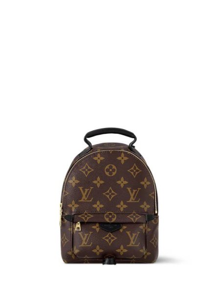 Louis Vuitton Palm Springs Small Brown