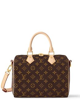 Louis Vuitton Speedy Small Brown Louis Vuitton Speedy Small Brown