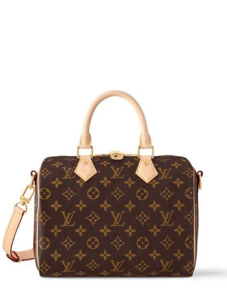 Louis Vuitton Speedy Small Brown Louis Vuitton Speedy Small Brown