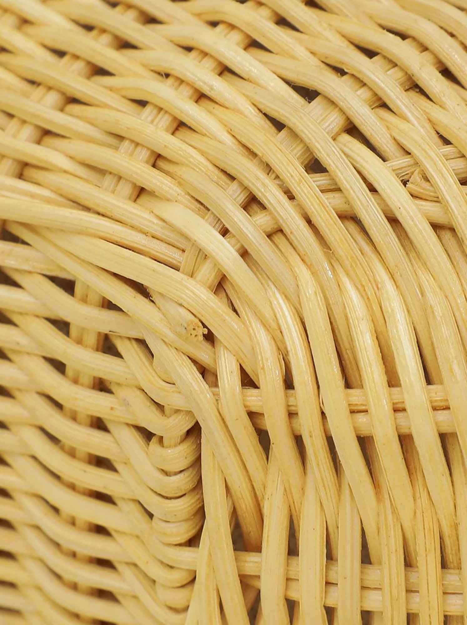 Miu Miu Wander Small Beige Miu Miu Wander Small Beige