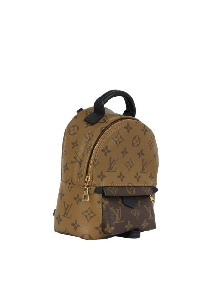 Louis Vuitton Palm Springs Small Brown