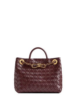 Bottega Veneta Andiamo Chain Small Red
